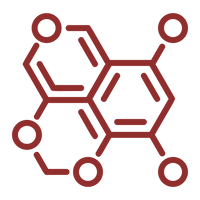 CLEAN SINGLE-INGREDIENT FORMULA
